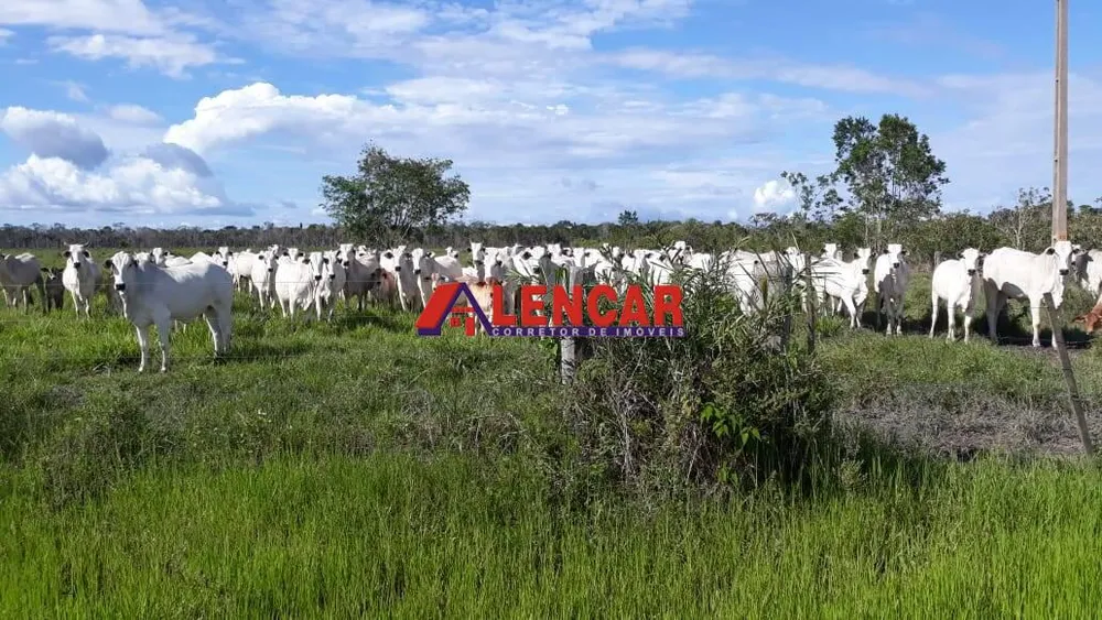 Terreno, 819 hectares - Foto 7