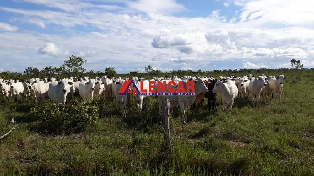 Terreno, 819 hectares - Foto 8