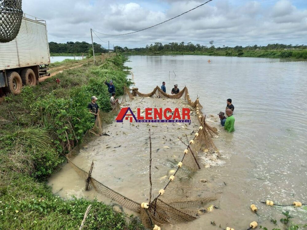 Terreno, 819 hectares - Foto 7