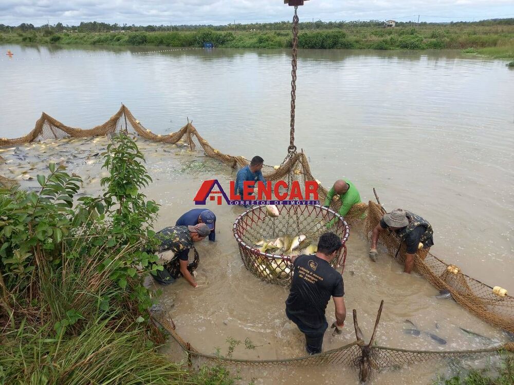 Terreno, 819 hectares - Foto 6