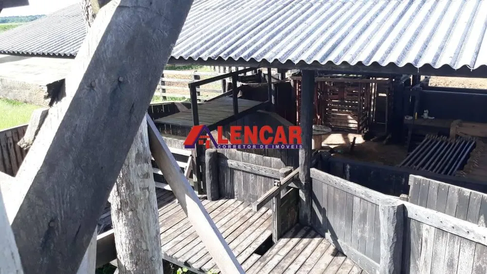 Terreno, 819 hectares - Foto 12