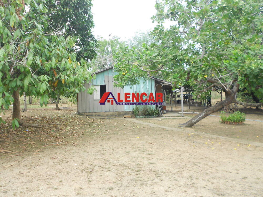 Chácara, 4 quartos, 2 hectares - Foto 3