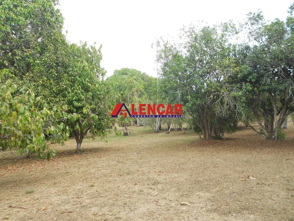 Chácara, 4 quartos, 2 hectares - Foto 16