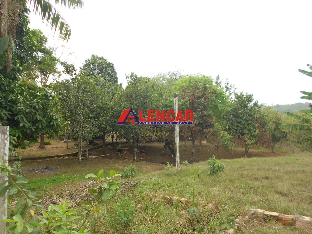 Chácara, 4 quartos, 2 hectares - Foto 8