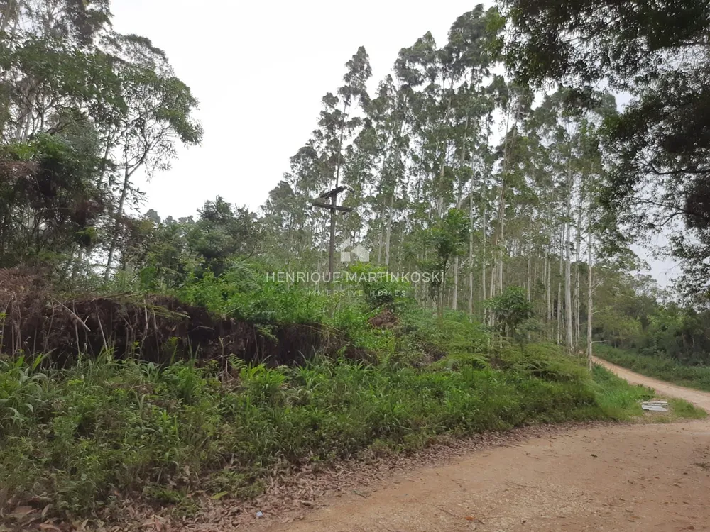 Terreno, 13 hectares - Foto 11