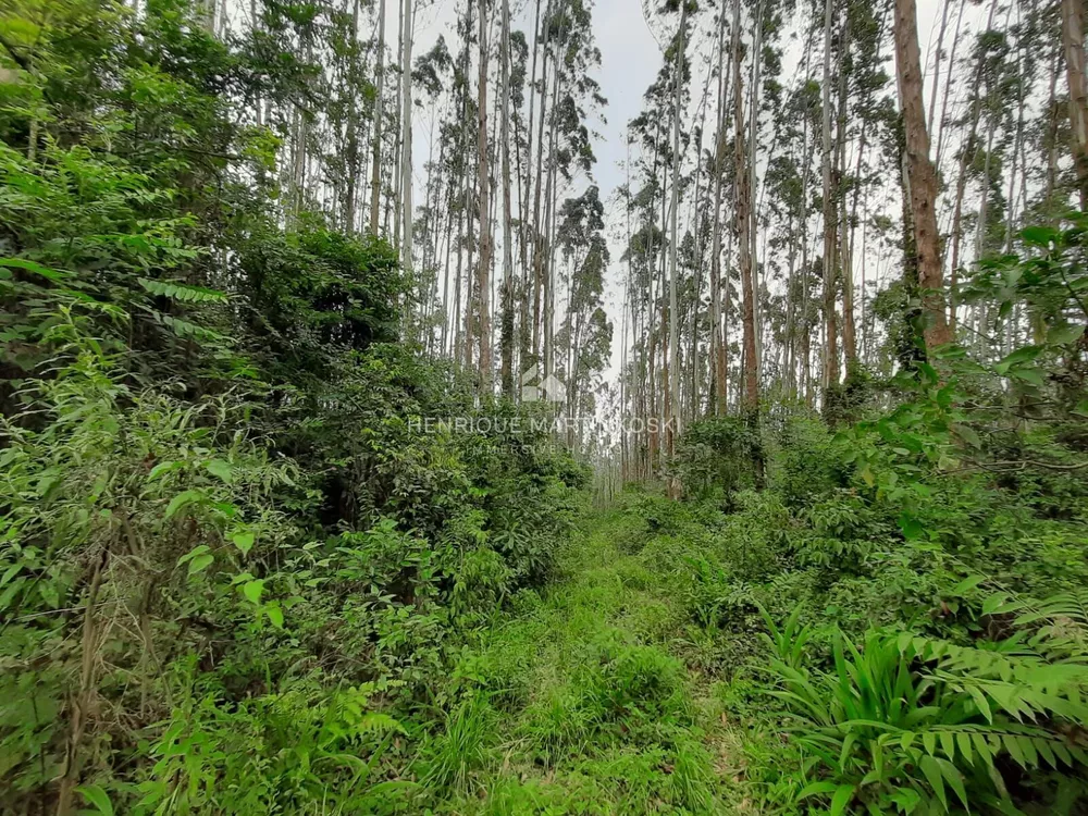 Terreno, 13 hectares - Foto 9