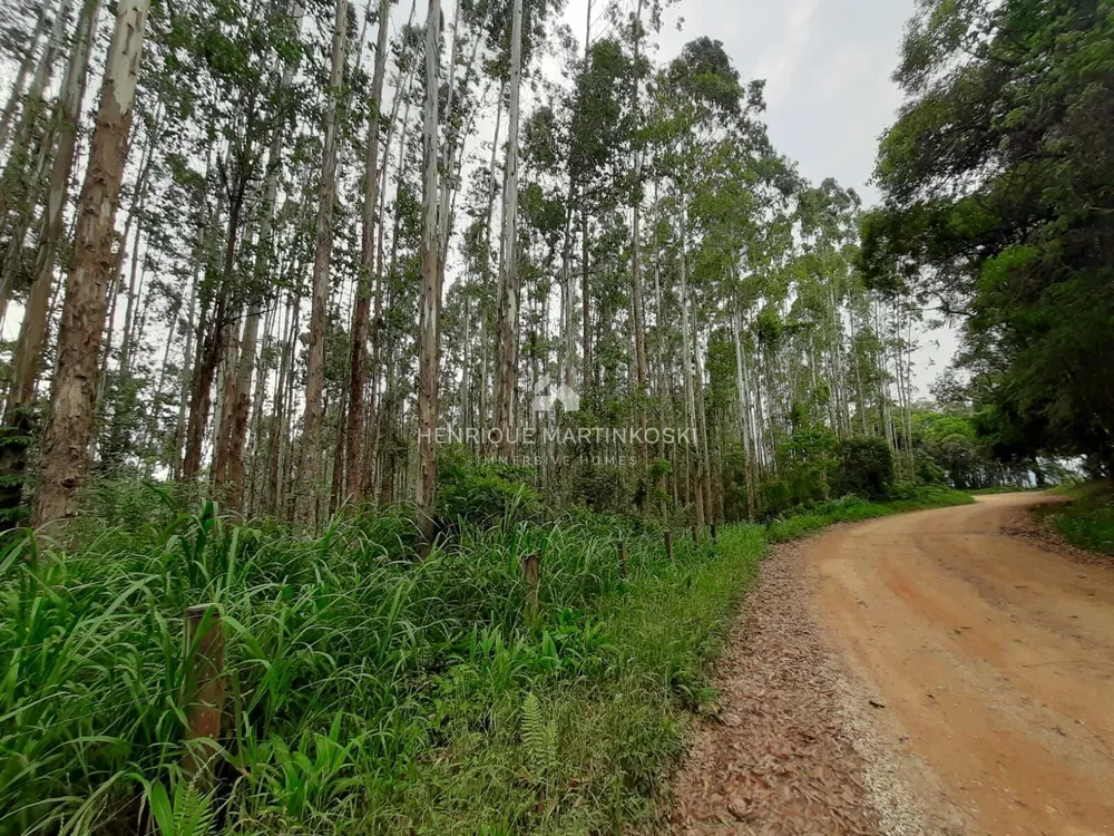 Terreno, 13 hectares - Foto 11