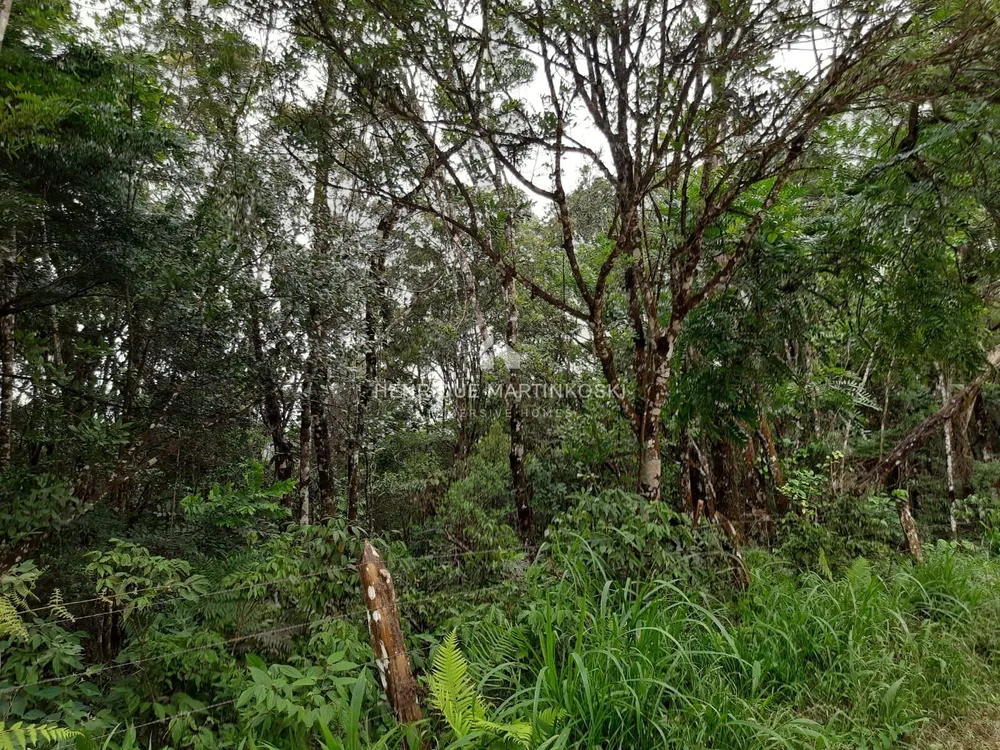 Terreno, 13 hectares - Foto 18