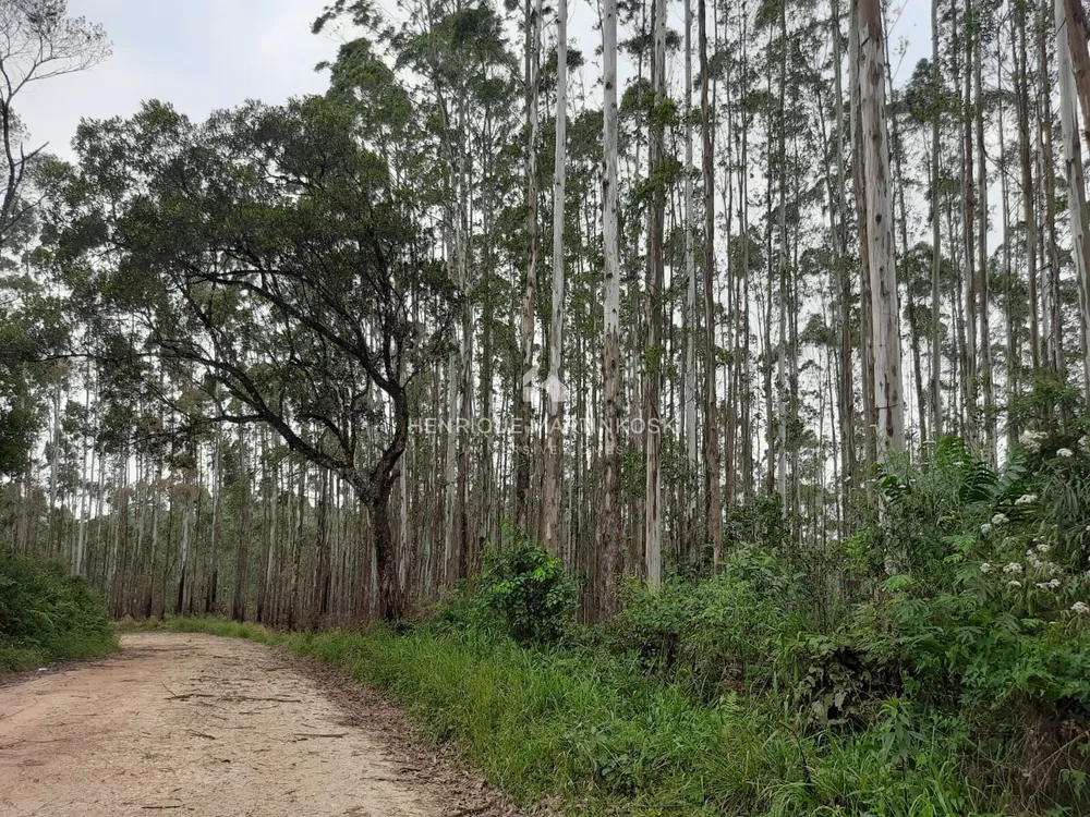 Terreno, 13 hectares - Foto 7