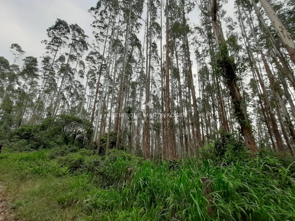 Terreno, 13 hectares - Foto 14