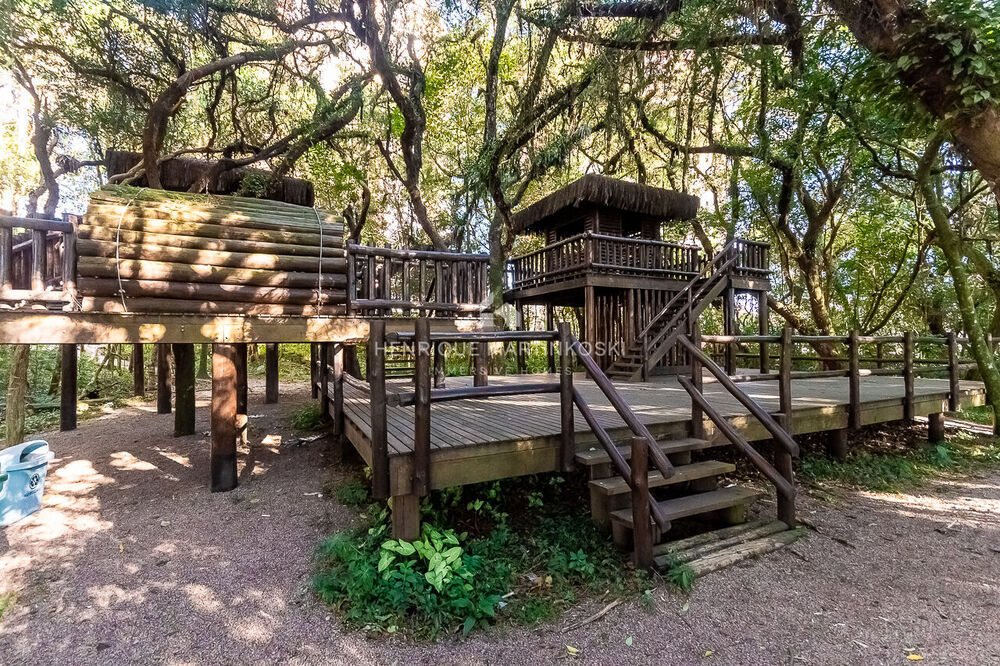 Apartamento, 4 quartos, 166 m² - Foto 12