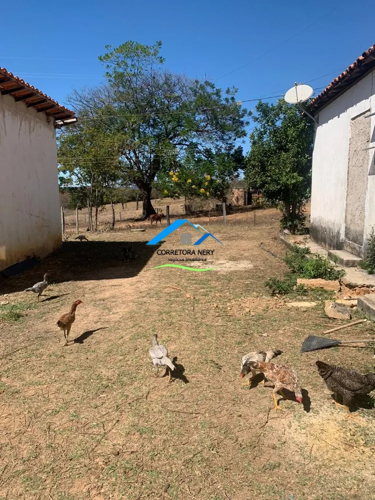 Fazenda, 3 quartos - Foto 6