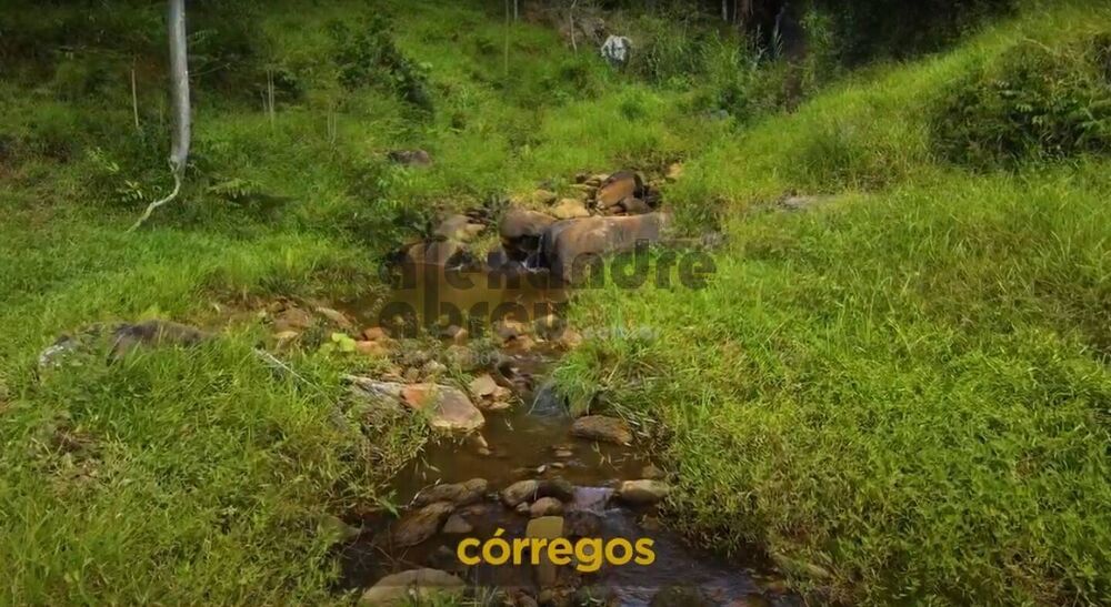 Terreno, 1067 m² - Foto 2