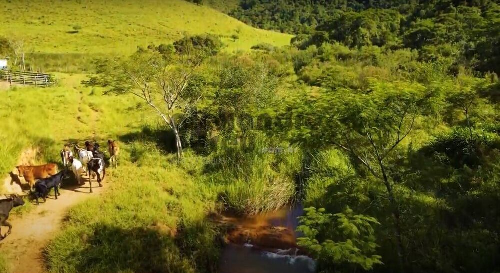 Terreno, 1067 m² - Foto 3