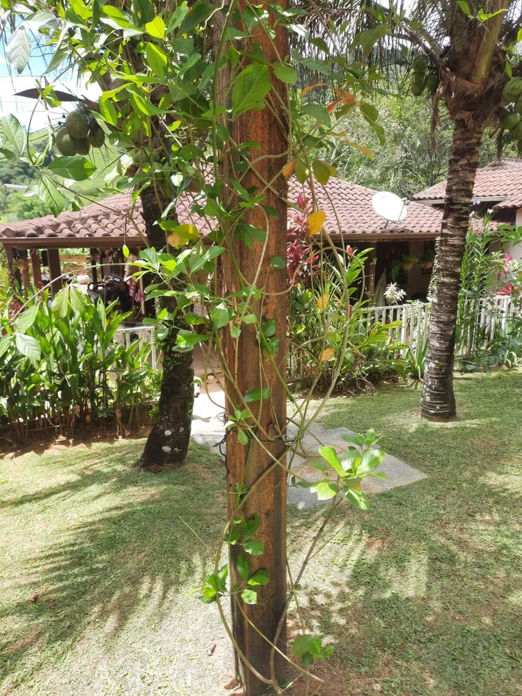 Chácara, 3 quartos, 908 m² - Foto 15