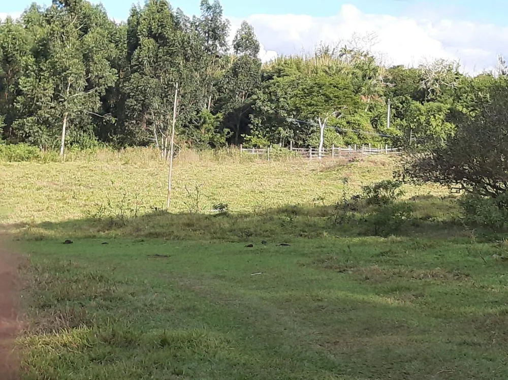 Sítio, 4 quartos, 12 hectares - Foto 3