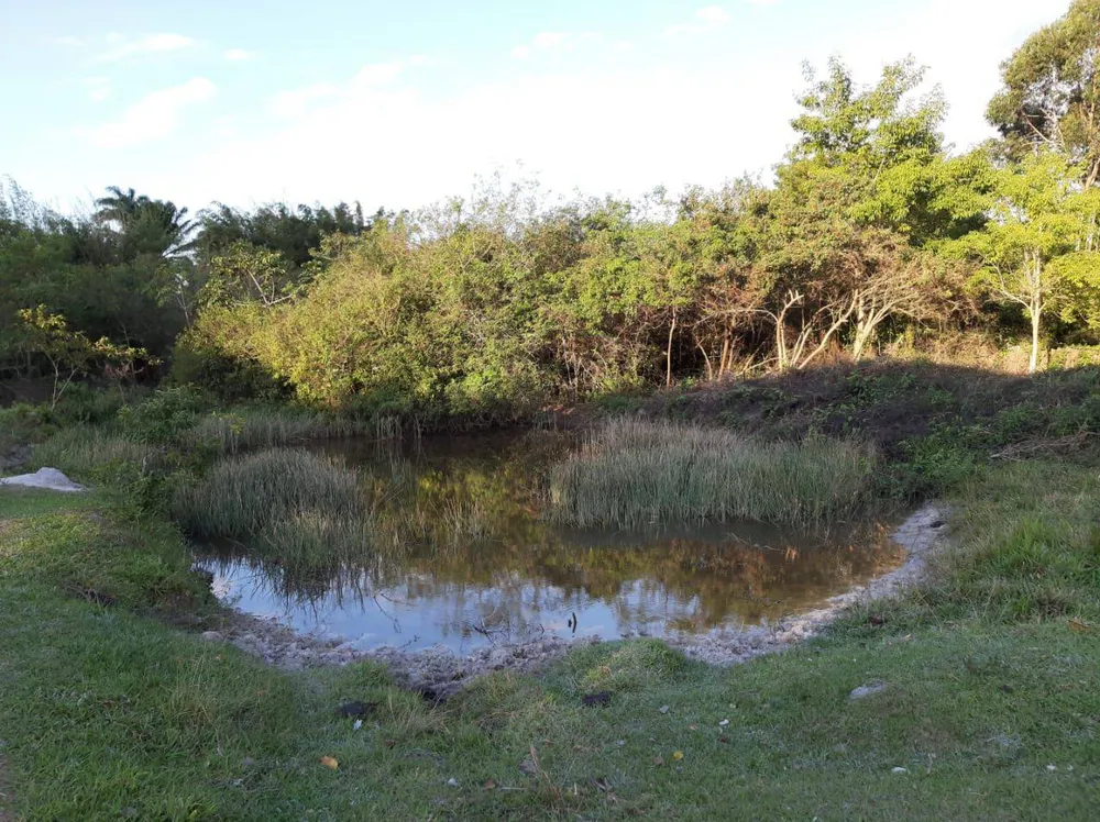 Sítio, 4 quartos, 12 hectares - Foto 18