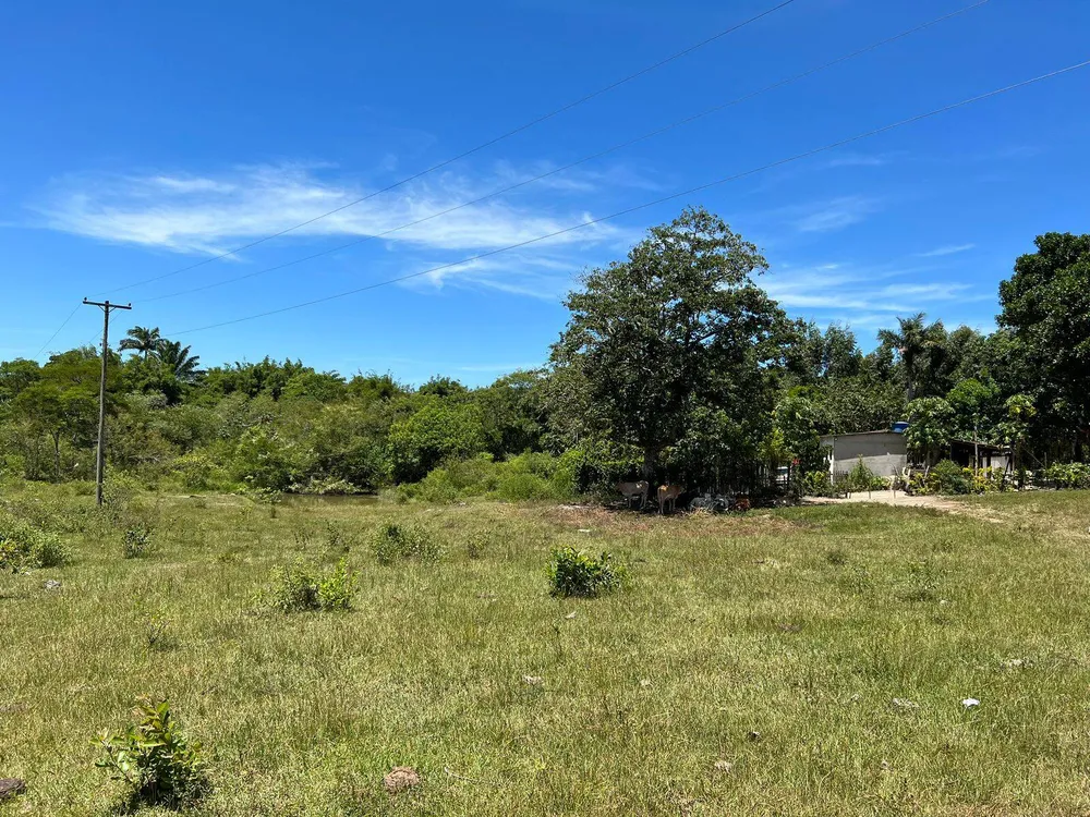 Sítio, 4 quartos, 12 hectares - Foto 14