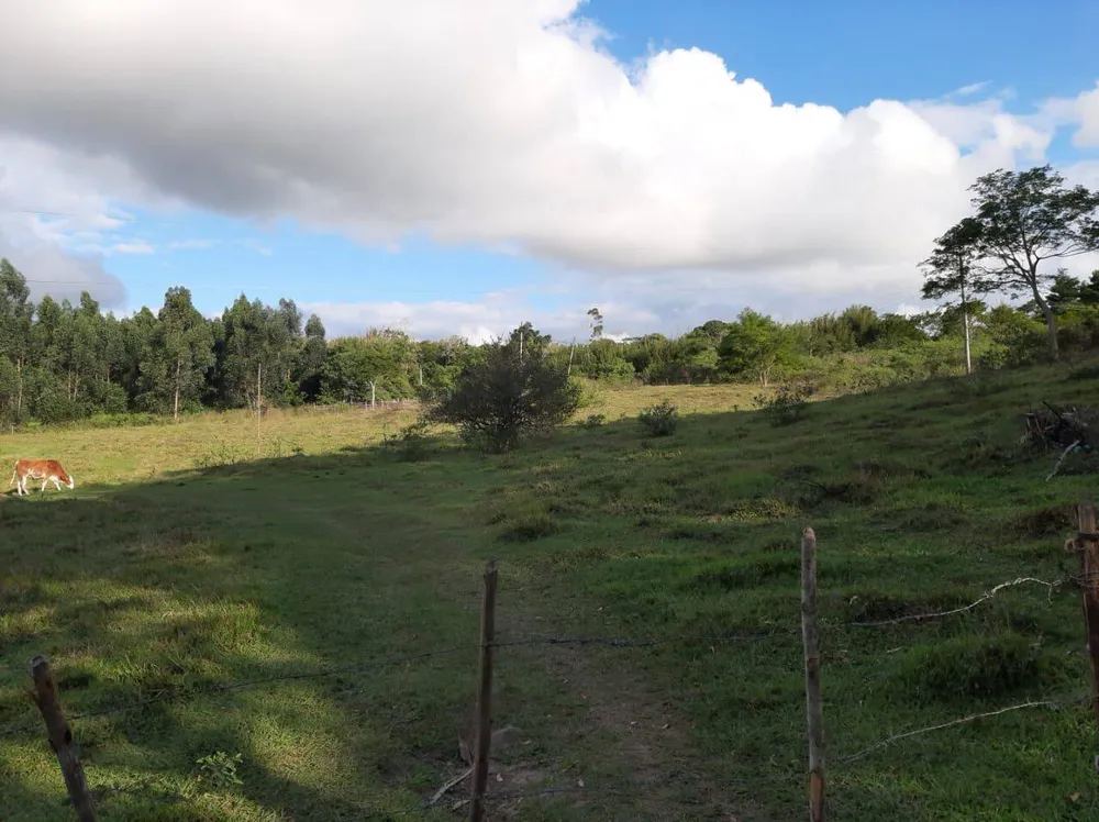 Sítio, 4 quartos, 12 hectares - Foto 8