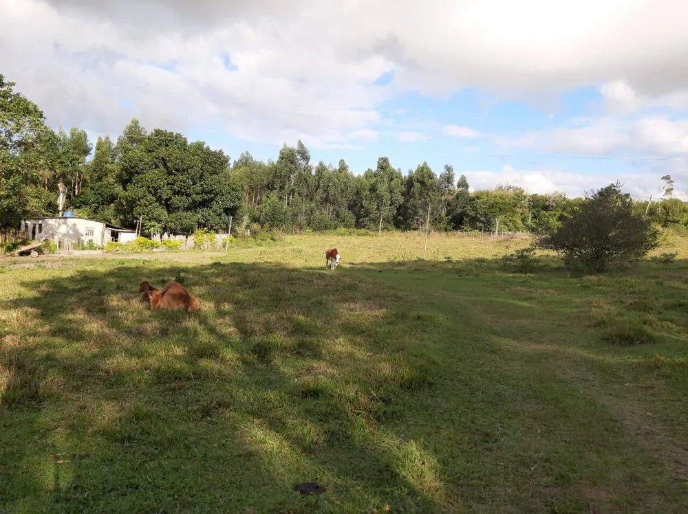 Sítio, 4 quartos, 12 hectares - Foto 7