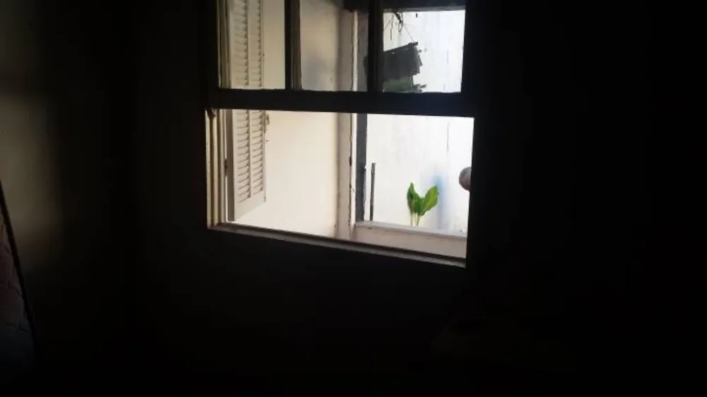 Casa, 4 quartos, 600 m² - Foto 12