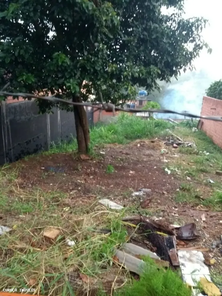 Terreno, 256 m² - Foto 5