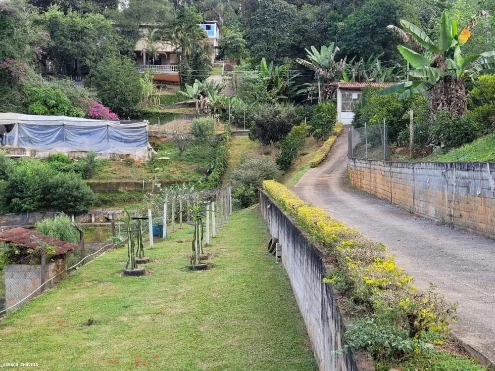 Chácara, 2 quartos, 6720 m² - Foto 14