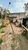 Casa, 3 quartos, 90 m² - Foto 1