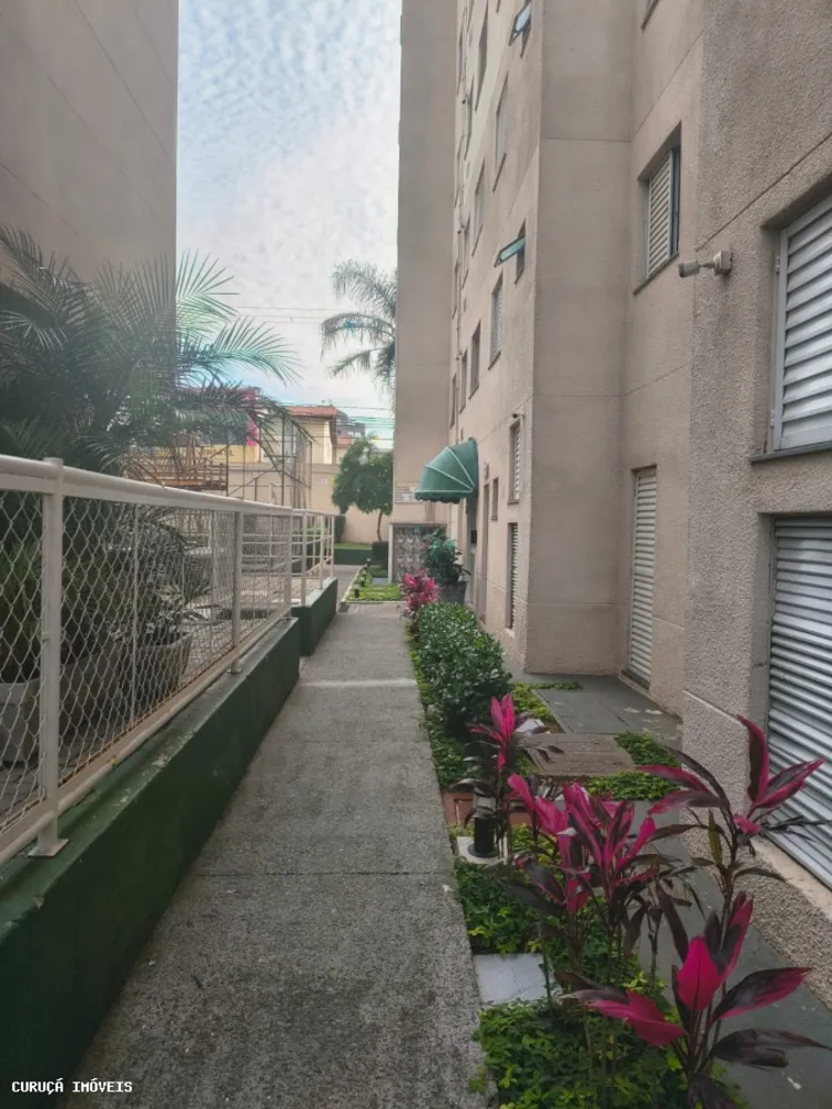 Apartamento, 2 quartos, 43 m² - Foto 9