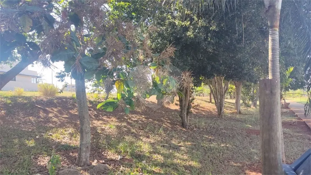Terreno, 300 m² - Foto 2