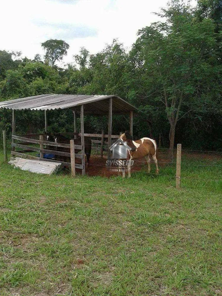 Chácara, 1 quarto, 5000 m² - Foto 1