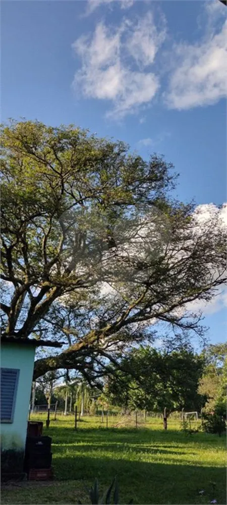 Chácara, 4 quartos, 1 hectares - Foto 7