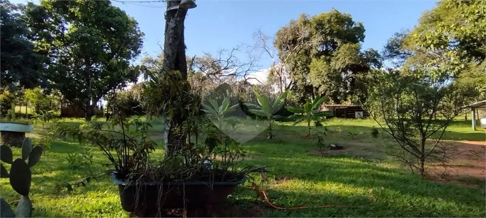 Chácara, 4 quartos, 1 hectares - Foto 4