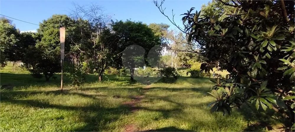 Chácara, 4 quartos, 1 hectares - Foto 12