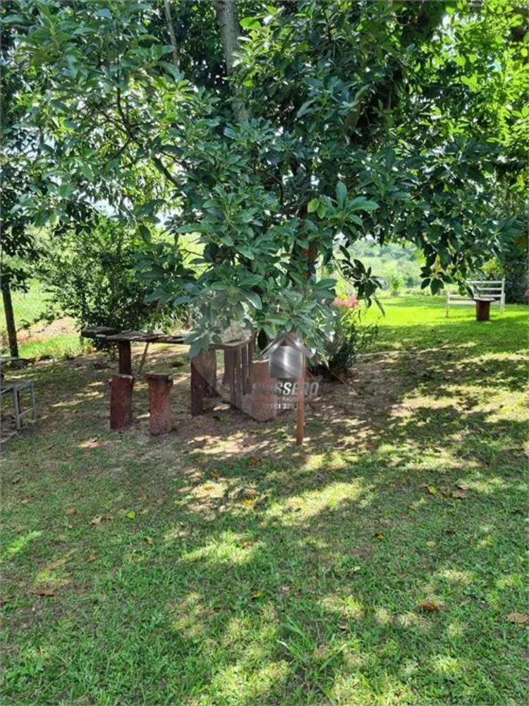 Sítio, 4 quartos, 3 hectares - Foto 8