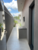 Casa, 3 quartos, 187 m² - Foto 4