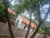 Casa, 2 quartos, 69 m² - Foto 5