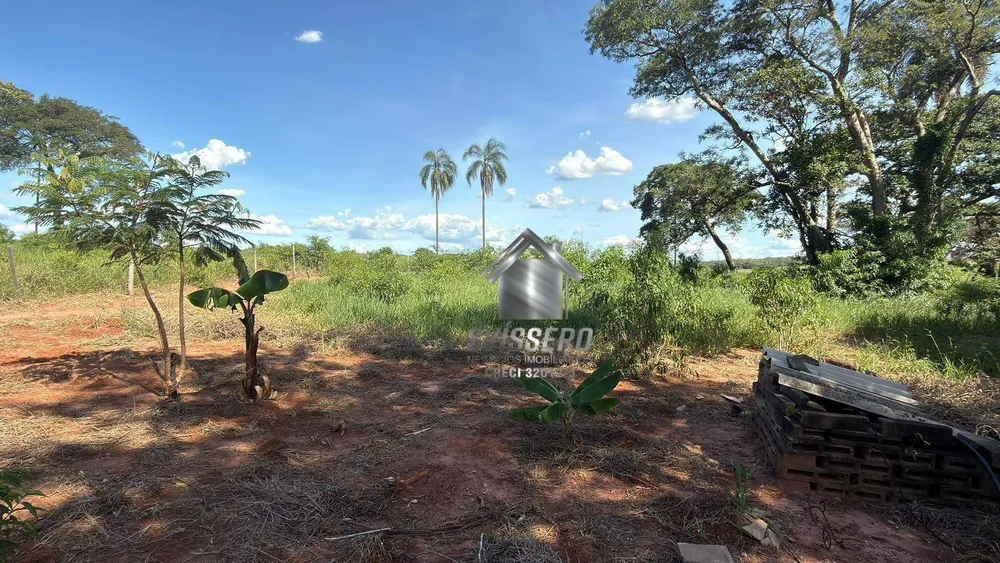 Chácara, 2 quartos, 10000 m² - Foto 12