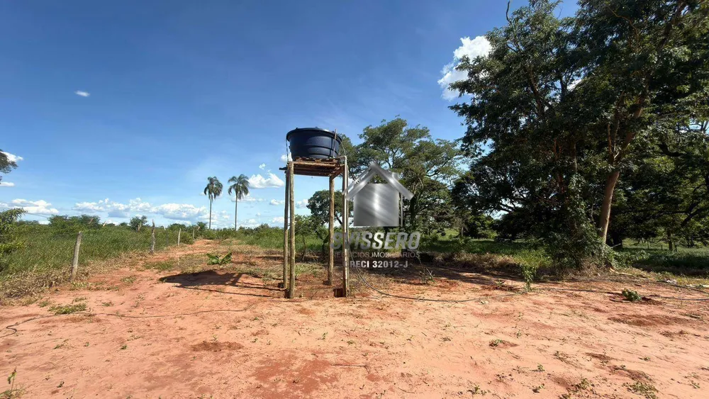 Chácara, 2 quartos, 10000 m² - Foto 7