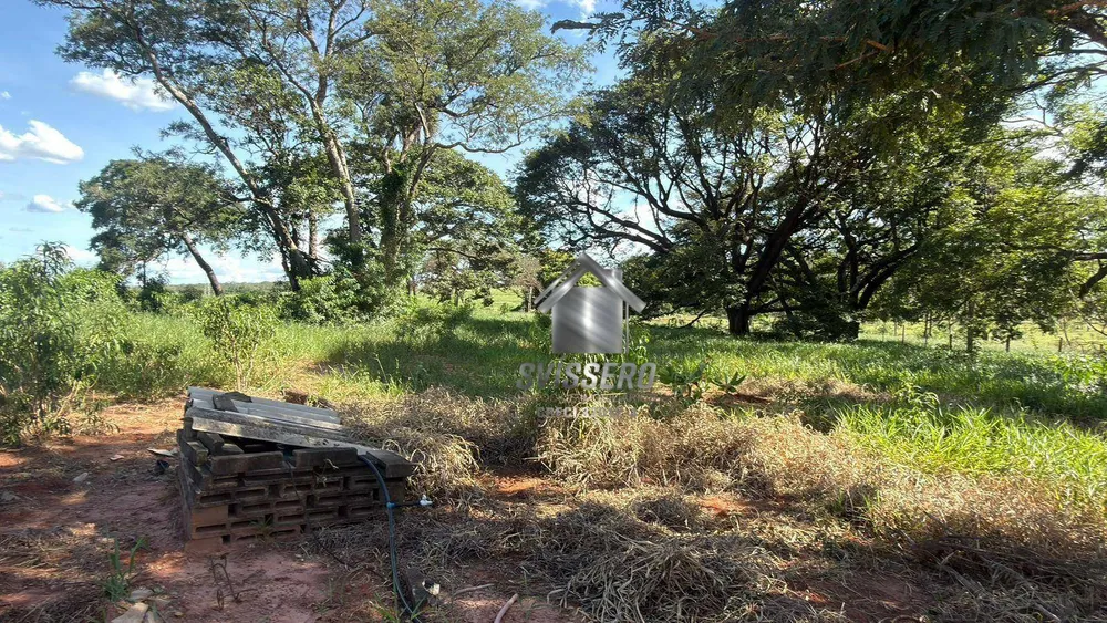 Chácara, 2 quartos, 10000 m² - Foto 11