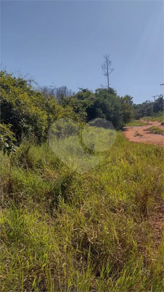 Terreno, 1000 m² - Foto 2