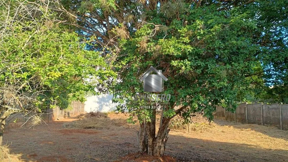 Casa, 3 quartos, 789 m² - Foto 15