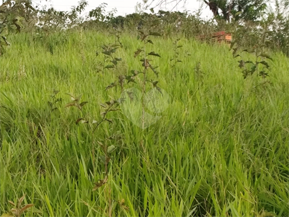 Terreno à venda, 3200m² - Foto 32
