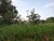 Terreno, 3200 m² - Foto 6