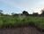 Terreno, 3200 m² - Foto 7