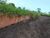 Terreno, 3200 m² - Foto 11