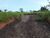 Terreno, 3200 m² - Foto 2