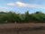 Terreno, 3200 m² - Foto 3
