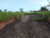 Terreno, 3200 m² - Foto 1