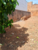 Terreno, 125 m² - Foto 2